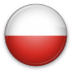 Polish flag presented as shield